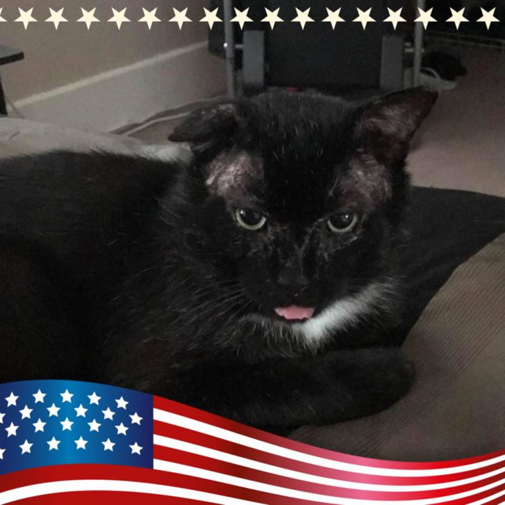 Meet your Posher, Sharon